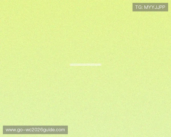 伊朗对阵新西兰比赛阵型详细分析与战术布局解读